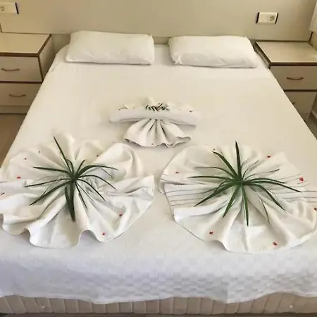 Hotel Hayat *